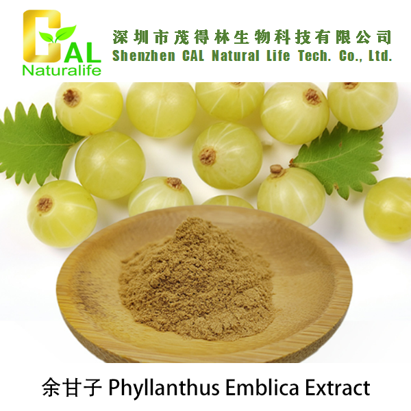 Phyllanthus Emblica Extract (余甘子提取物)