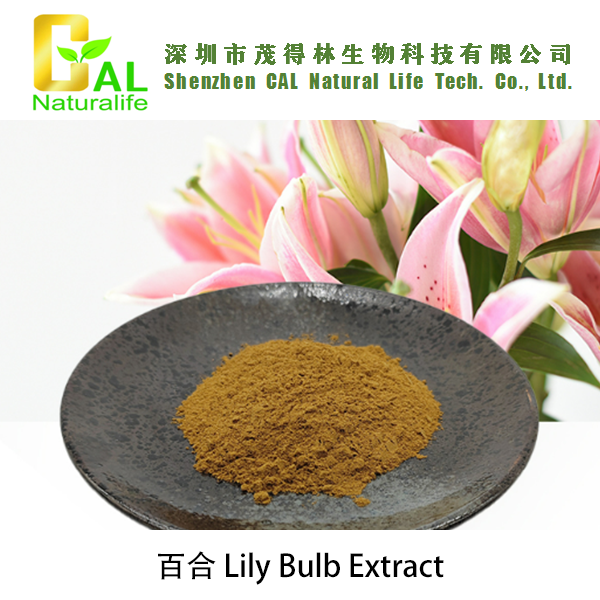 Lily Bulb Extract (百合提取物)