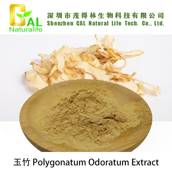 Polygonatum Odoratum Extract (玉竹提取物)