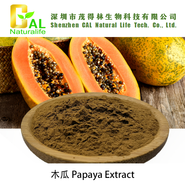 Papaya Extract (木瓜提取物)