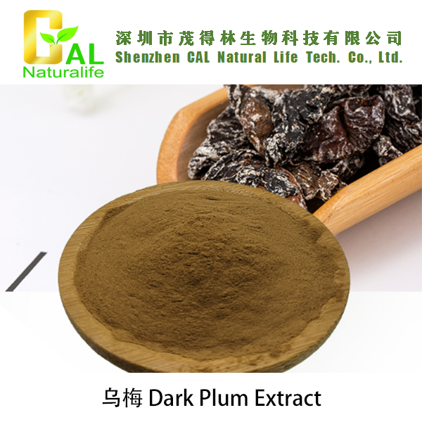 Dark Plum Extract (乌梅提取物)