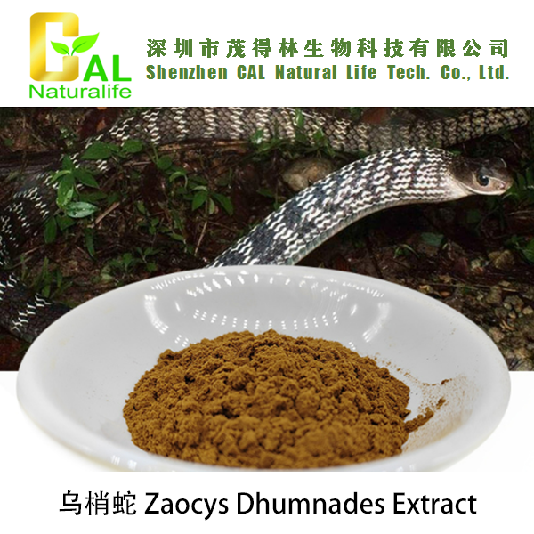Zaocys Dhumnades Extract (乌梢蛇提取物)