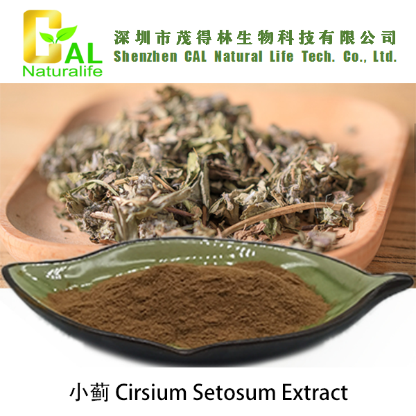 Cirsium Setosum Extract (小蓟提取物)