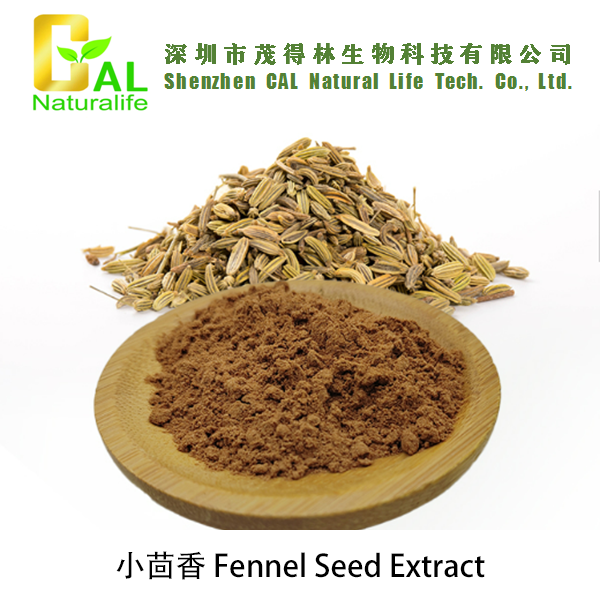 Fennel Seed Extract (小茴香提取物)