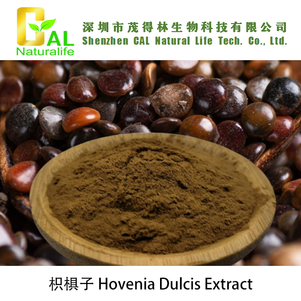 Hovenia Dulcis Extract (枳椇子提取物)