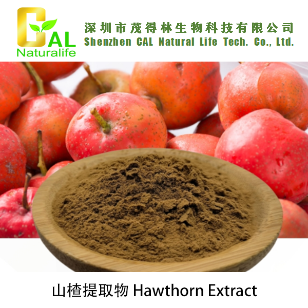 Hawthorn Extract (山楂提取物)