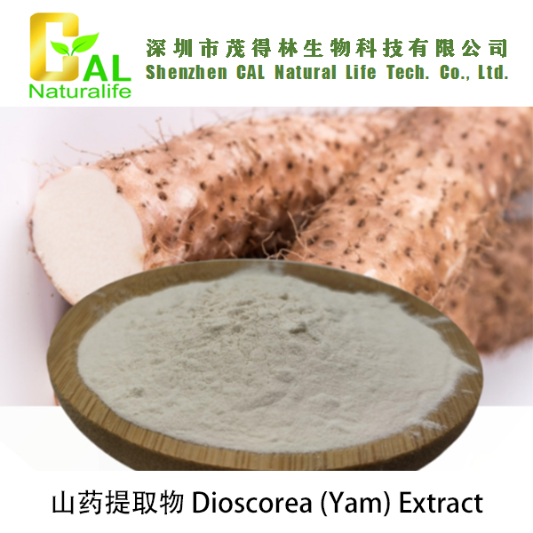 Dioscorea (Yam) Extract (山药提取物)
