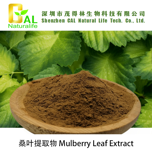 Mulberry Leaf Extract (桑叶提取物)