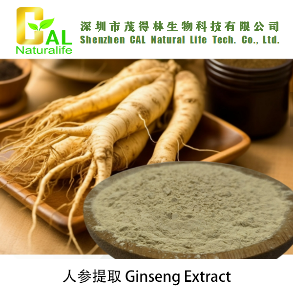 Ginseng Extract (人参提取物)