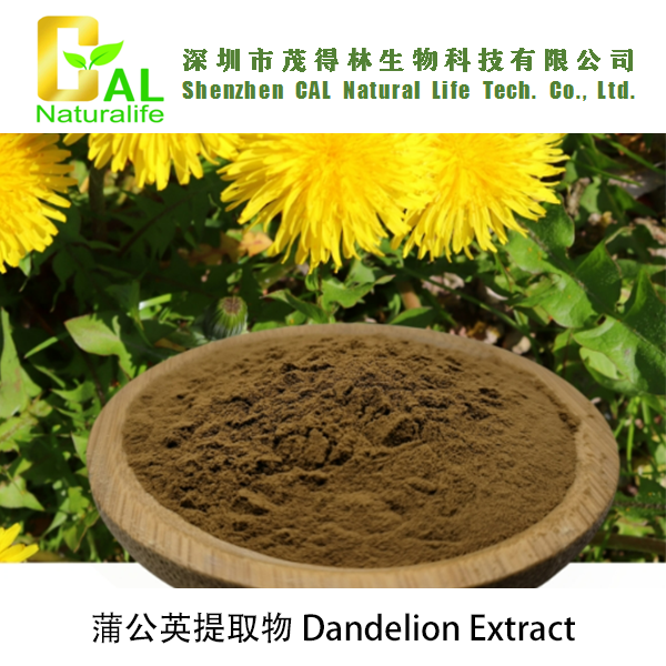 Dandelion Extract (蒲公英提取物)