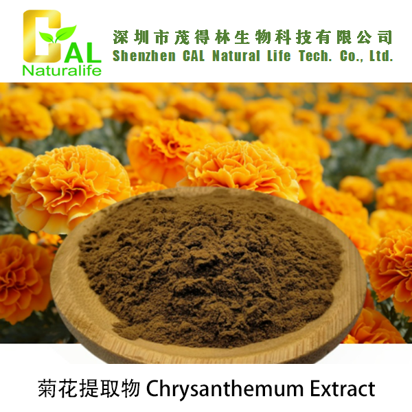 Chrysanthemum Extract (菊花提取物)