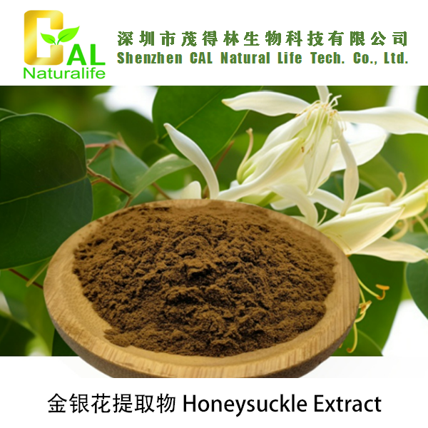 Honeysuckle Extract (金银花提取物)