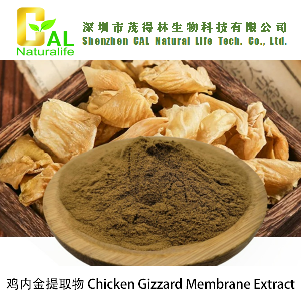 Chicken Gizzard Membrane Extract (鸡内金提取物)