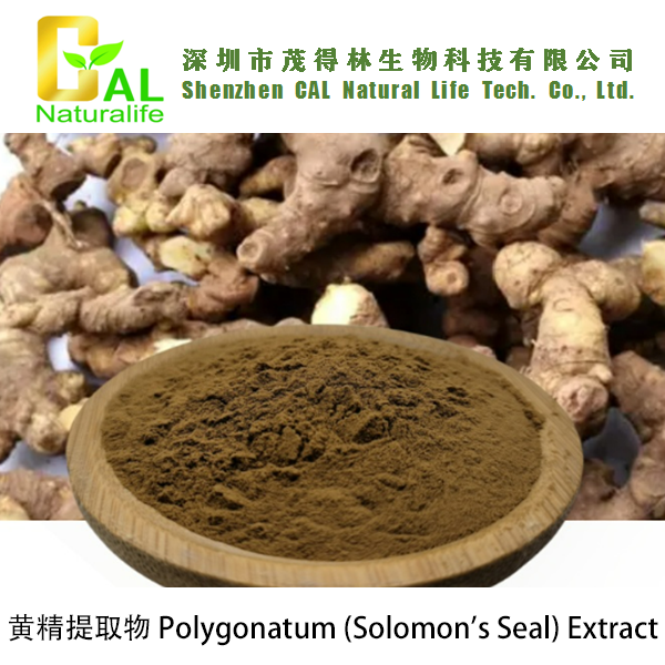 Polygonatum (Solomon’s Seal) Extract (黄精提取物)