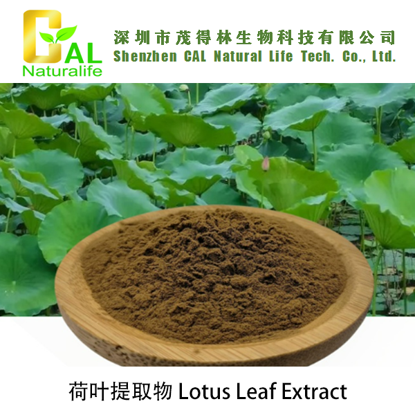 Lotus Leaf Extract (荷叶提取物)