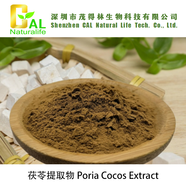 Poria Cocos Extract (茯苓提取物)