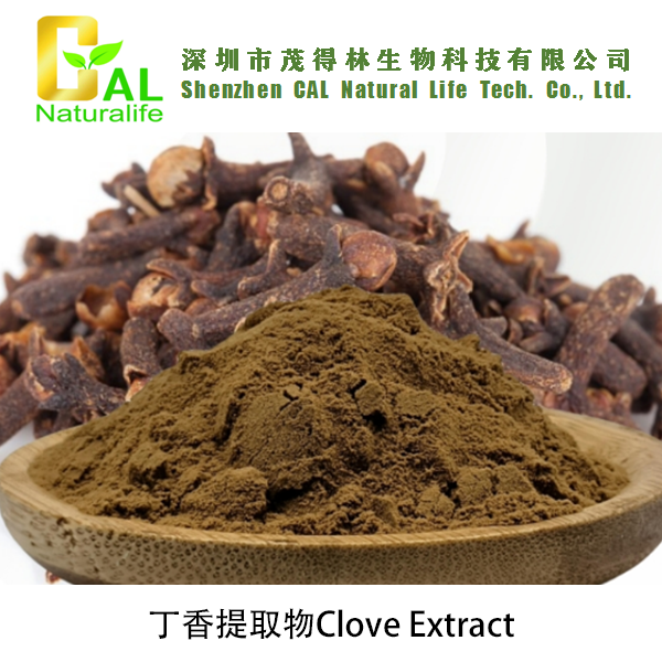 Clove Extract (丁香提取物)
