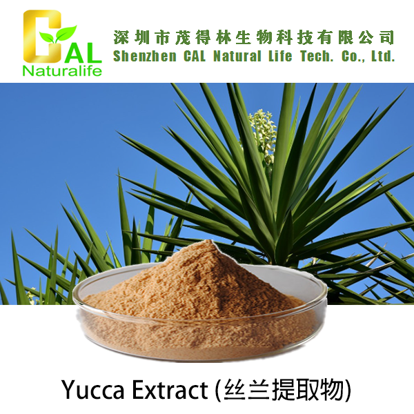 Yucca Extract (丝兰提取物)