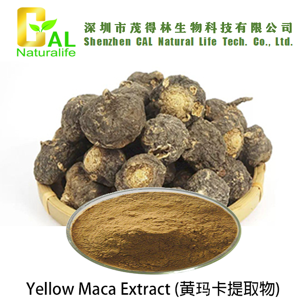 Yellow Maca Extract (黄玛卡提取物)