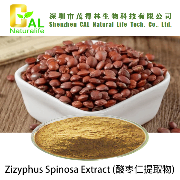 Zizyphus Spinosa Extract (酸枣仁提取物)