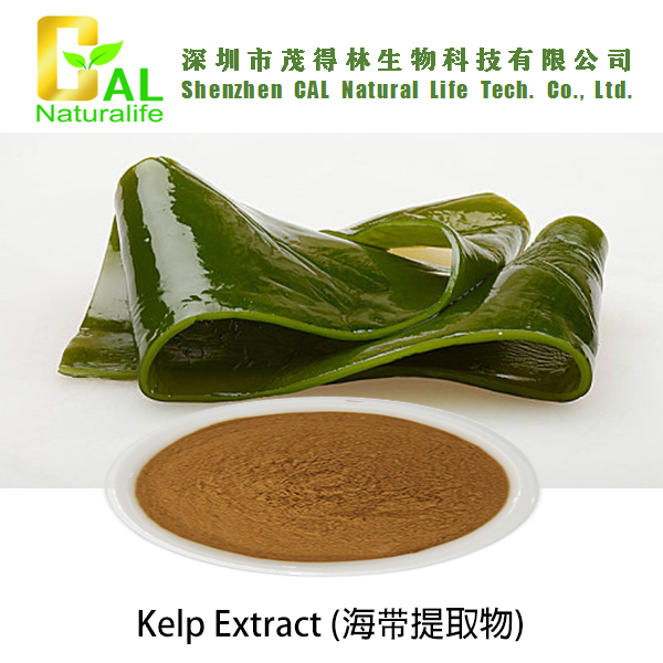 Kelp Extract (海带提取物)