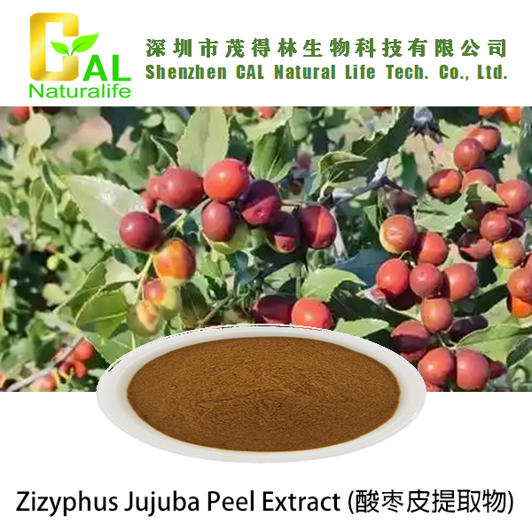 Zizyphus Jujuba Peel Extract (酸枣皮提取物)