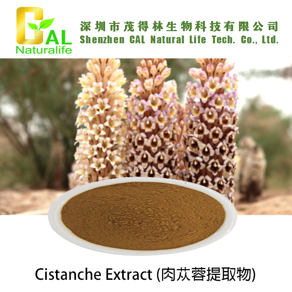Cistanche Extract (肉苁蓉提取物)