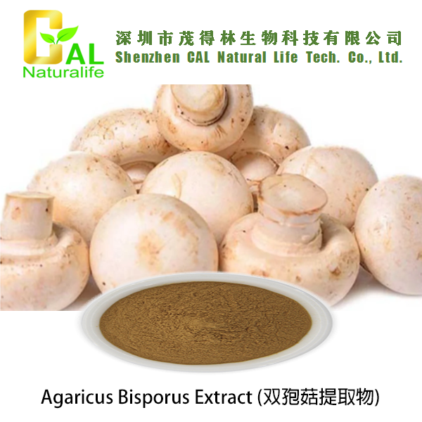 Agaricus Bisporus Extract (双孢菇提取物