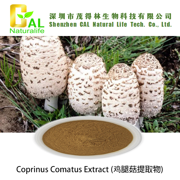 Coprinus Comatus Extract (鸡腿菇提取物)