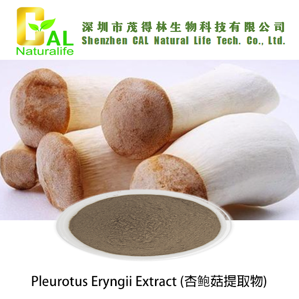 Pleurotus Eryngii Extract (杏鲍菇提取物)