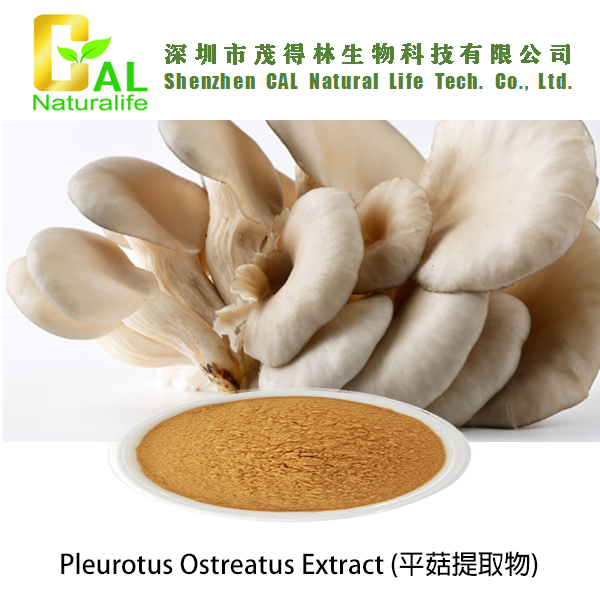 Pleurotus Ostreatus Extract (平菇提取物)