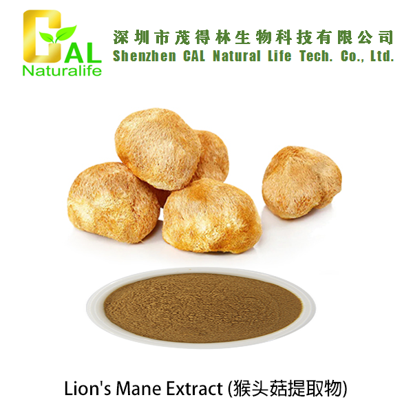 Lion's Mane Extract (猴头菇提取物)