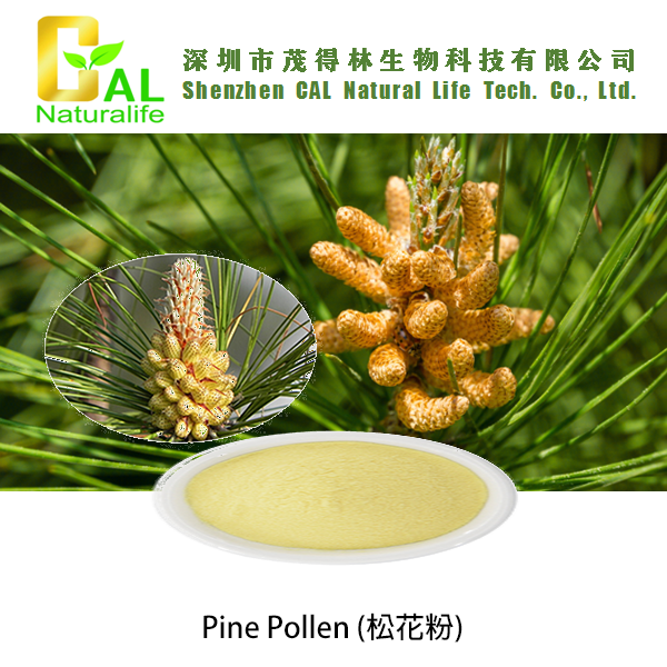 Pine Pollen (松花粉)