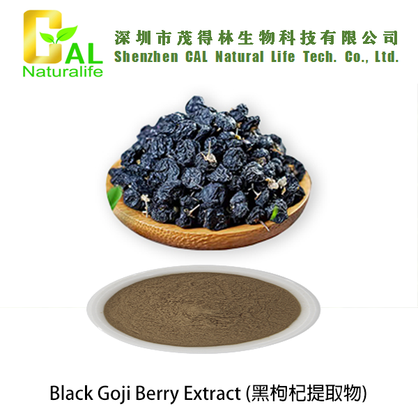 Black Goji Berry Extract (黑枸杞提取物)
