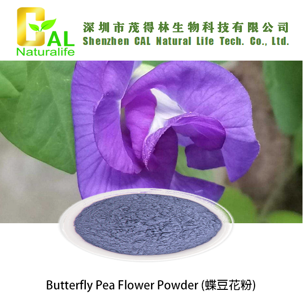 Butterfly Pea Flower Powder (蝶豆花粉)