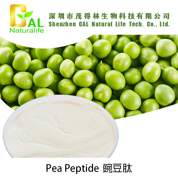 Pea Peptide 豌豆肽