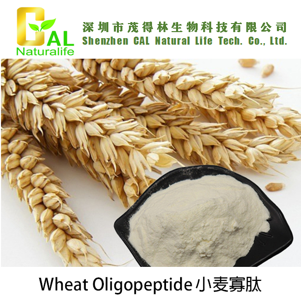 Wheat Oligopeptide 小麦寡肽
