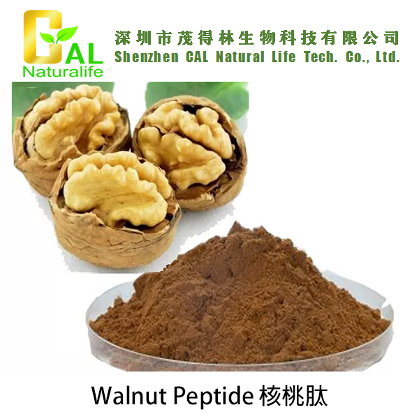 Walnut Peptide 核桃肽