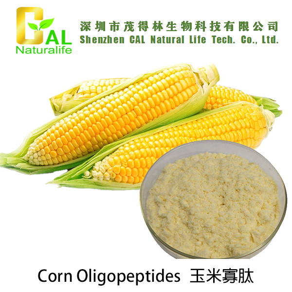 Corn Oligopeptides 玉米寡肽