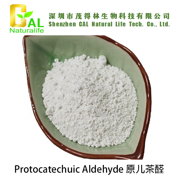 Protocatechuic Aldehyde 原儿茶醛