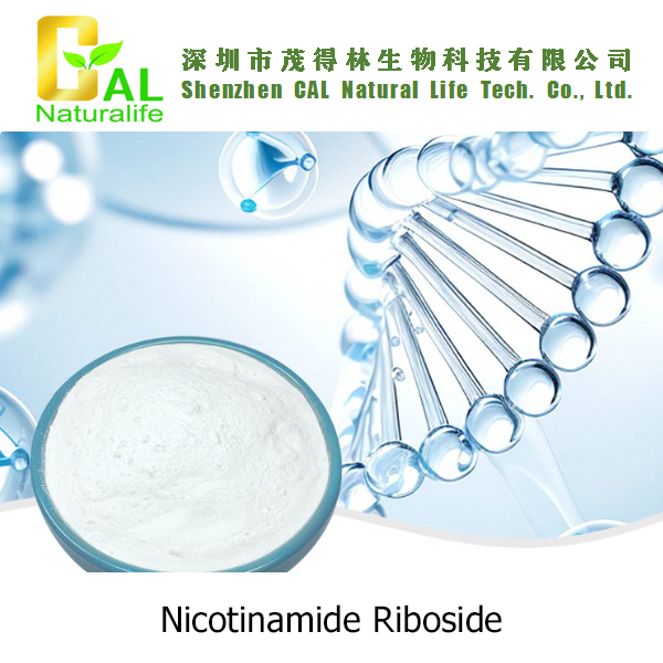 Nicotinamide Riboside