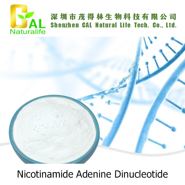 Nicotinamide Adenine Dinucleotide