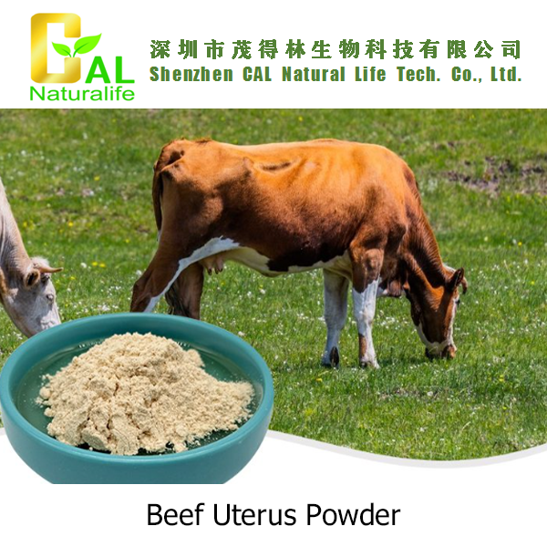Beef Uterus Powder