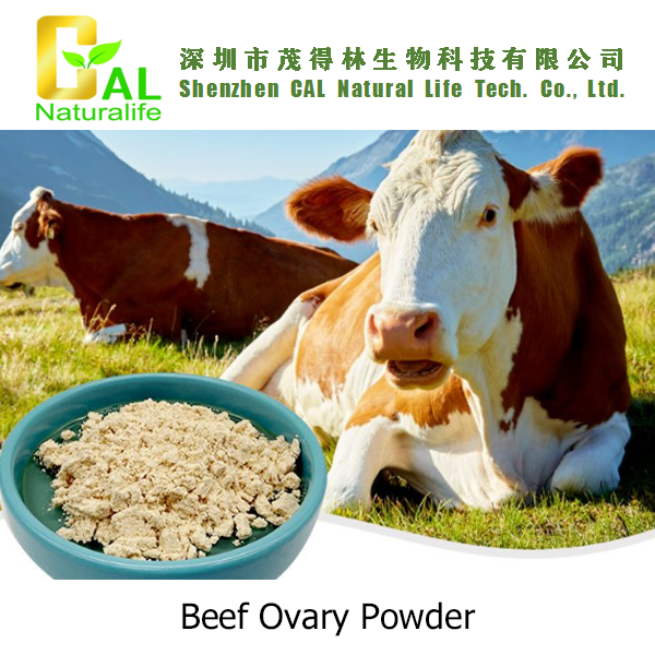 Beef Ovary Powder