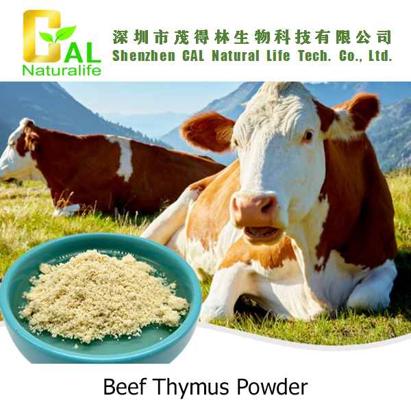 Beef Thymus Powder