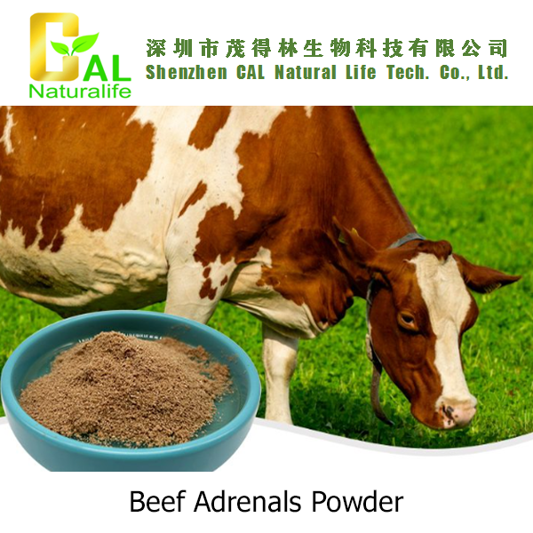 Beef Adrenals Powder