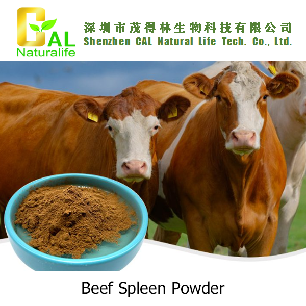 Beef Spleen Powder