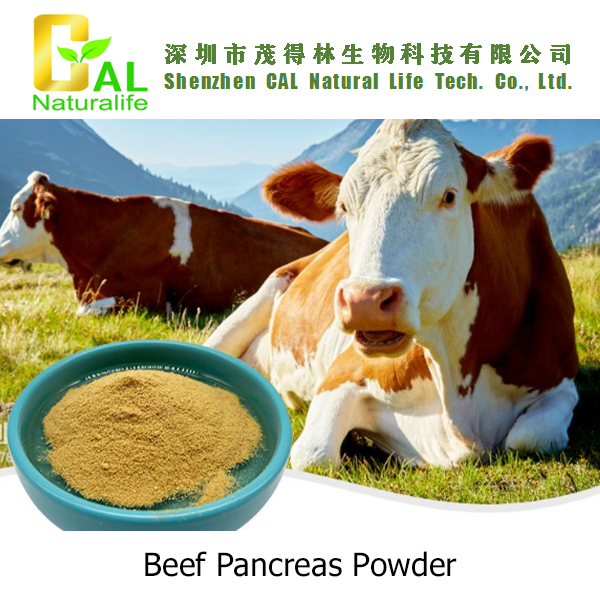Beef Pancreas Powder