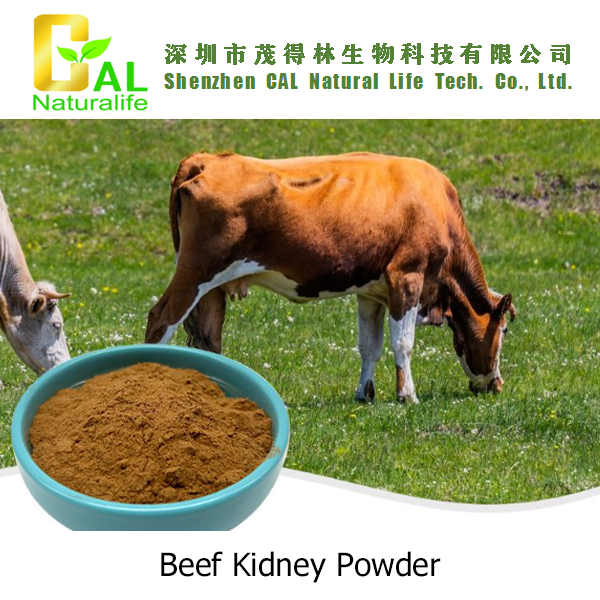 Beef Kidney Powder